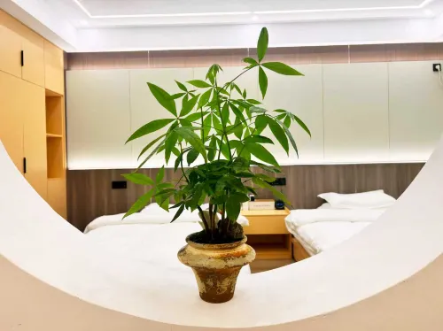 Huiyuan International Business Hotel - 2 stelle