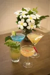 Bakong Hotel - pet friendly