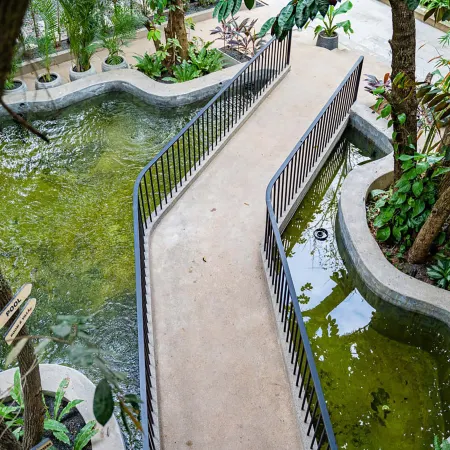 Rainforest Hotel by Nsun