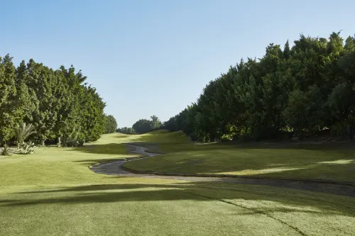 فندق جي دبليو ماريوت القاهرة الترفيه والتسلية Photos