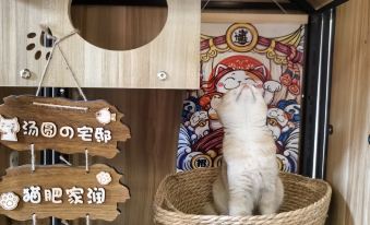 Minnan Yuqing Courtyard Homestay (Kaiyuan Temple Branch, West Street, Quanzhou Ancient City)