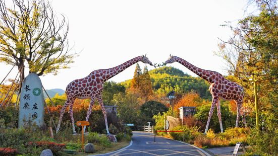 Giraffe Manor Hotel