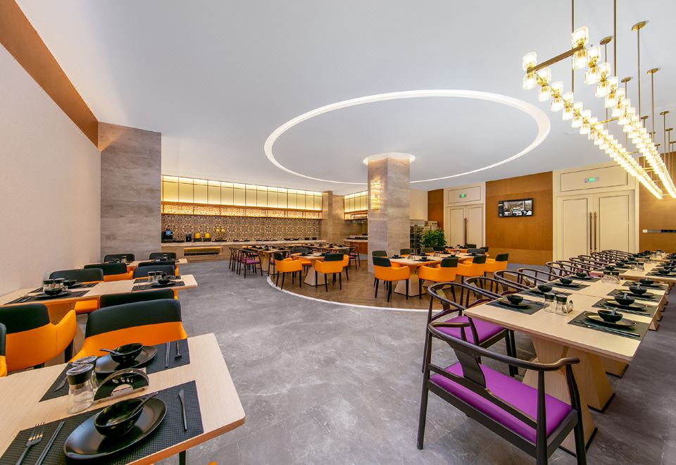 비엔나 인터내셔널 호텔 (청두 톈푸 국제공항) 이미지