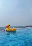 Dujiangyan South Bridge Guishu Gong Sitting Private Tang Homestay - โรแมนติก