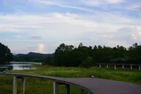 TREE WOW