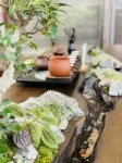 โรงแรมถังไดนาสตี้ - ที่มีฟิตเนส