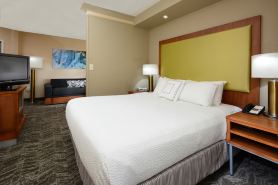 SpringHill Suites Lynchburg Airport/University Area