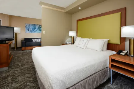 SpringHill Suites Lynchburg Airport/University Area Отели в г. Форест