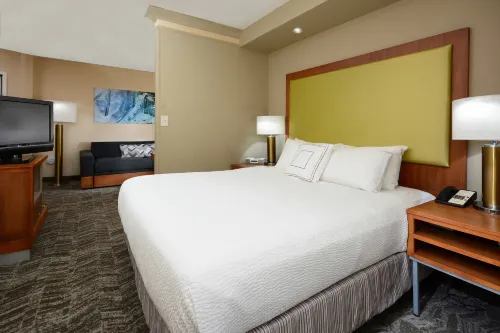 SpringHill Suites Lynchburg Airport/University Area Hotels in Campbell County