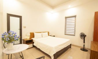 Tam Coc Peaceful Hotel