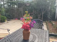 Jiande Xuan Mingyuan Homestay