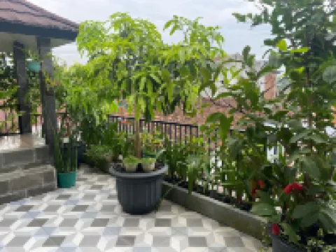 MOZA HOUSE Wonosobo โรงแรมในโวโนโซโบ