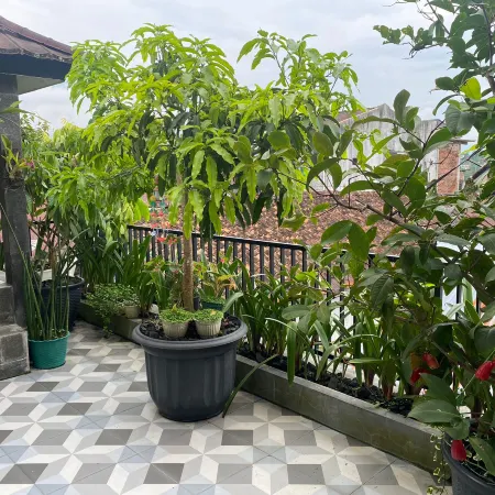 MOZA HOUSE Wonosobo