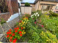 Manyi’s Onsen House โรงแรมใน