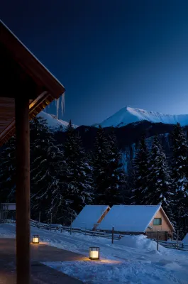 Forest and Elk Homestay Hotels in Habahe