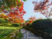 Dujiangyan No Secret Realm Homestay Hotel di Dujiangyan