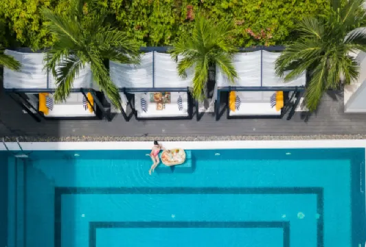 Hoian Sincerity Hotel & Spa Hotels near Jack's Cat Cafe