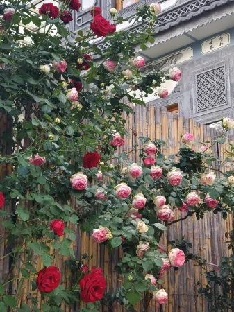 Dali Liubai Fragrant Wenquan Courtyard