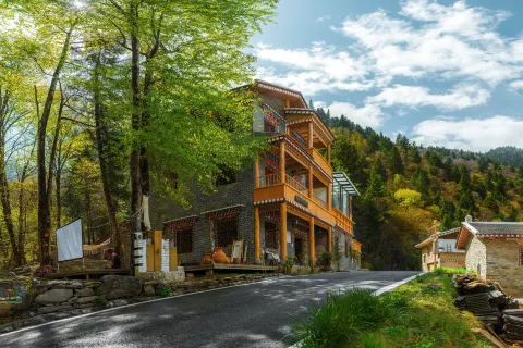 Mountainside Reverie