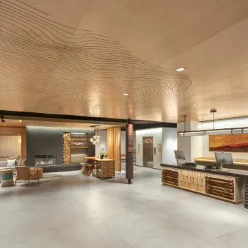 The Wildbirch Hotel - JdV by Hyatt