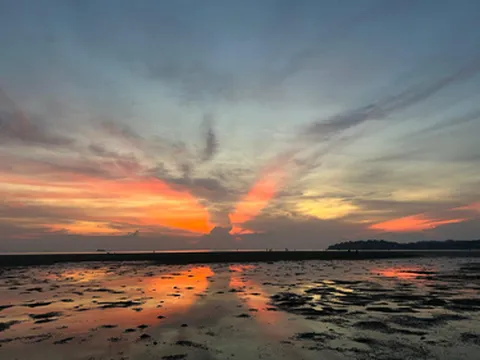 รูปภาพของSleepy beach bungalows