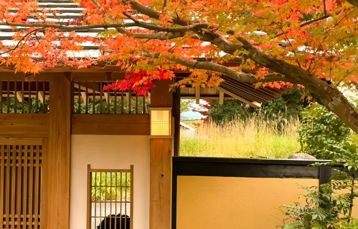 Koarashiyama Akizuki