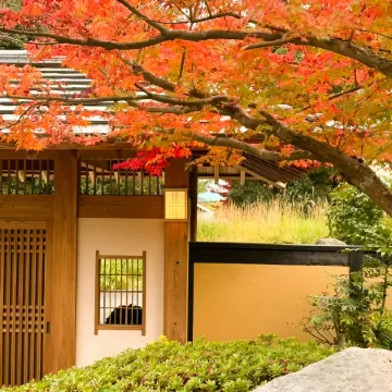 Koarashiyama Akizuki