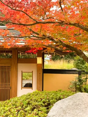 Koarashiyama Akizuki - 3-Star