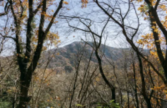 Designer mountain villa with sauna & BBQ, nestled in 4,000 tsubo of forest — COCO VILLA Nagatoro