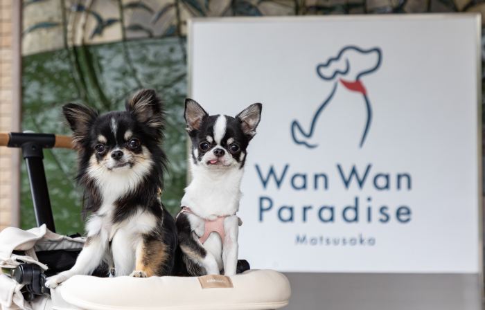 Wan Wan Paradise Matsusaka