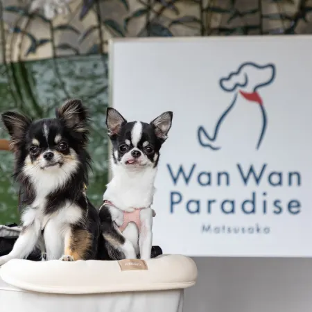 Wan Wan Paradise Matsusaka
