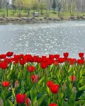 Orange Hotel (Yining Branch) - Scenic