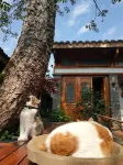 Yilu Homestay - ห้องครัว