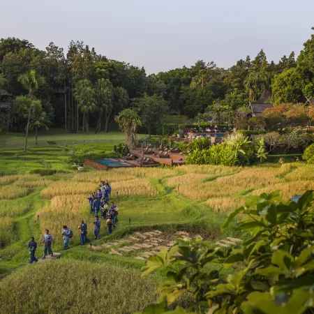 Four Seasons Resort Chiang Mai