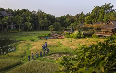 รูปภาพของโฟร์ซีซั่นส์ รีสอร์ท เชียงใหม่