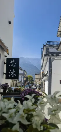 Dali Gucheng Xinmu Homestay