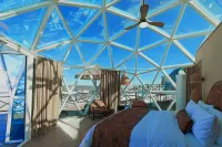 Blossom Camp Karajun Xinjiang