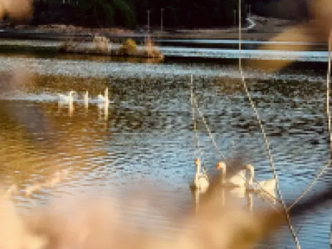 Thirteen Degree Wind Four Seasons Tent Camp