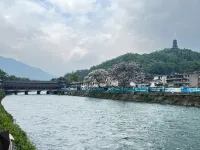 舒程飯店（都江堰景區南橋店） - 山景