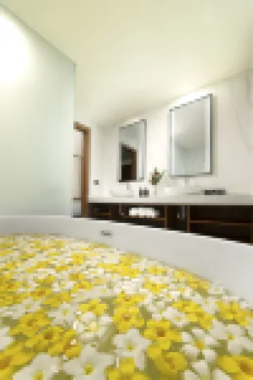 喬阿西斯霍特爾