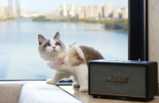 ไวเออร์สลี่ เหม่ยซีหู