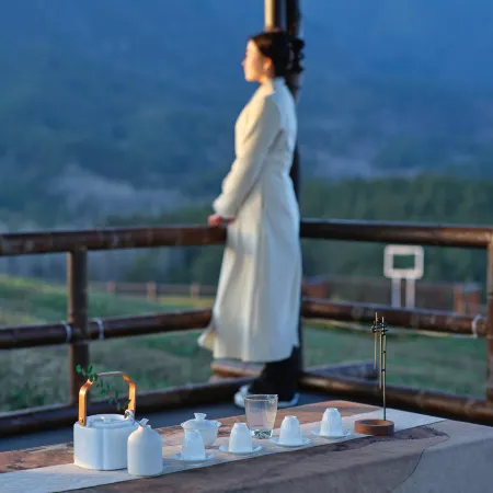 Cloud Starry Sky Homestay