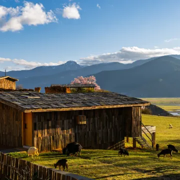 Shangri-La Banshan Tanye Manor Hoteles cerca de Napahai Tourism Area Dala Scenic Spot