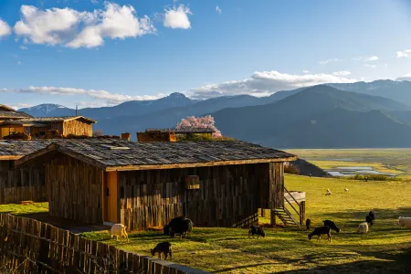 Shangri-La Banshan Tanye Manor Отели в г. Шангри-Ла