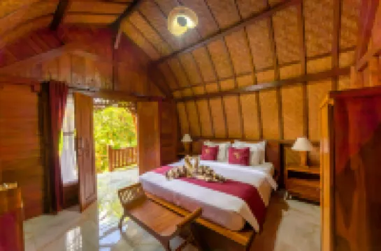 Innora Jungle Resort and Spa