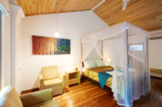 스위트 시나몬 칸디