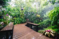 42Garden 3-Bedroom Escape (Tropical garden view) - Homestays