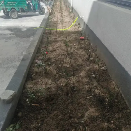 HuamengHotel