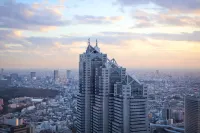 Park Hyatt Tokyo - Bergblick