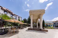 Dehong Mangshi Yasifeier Hotel - bar